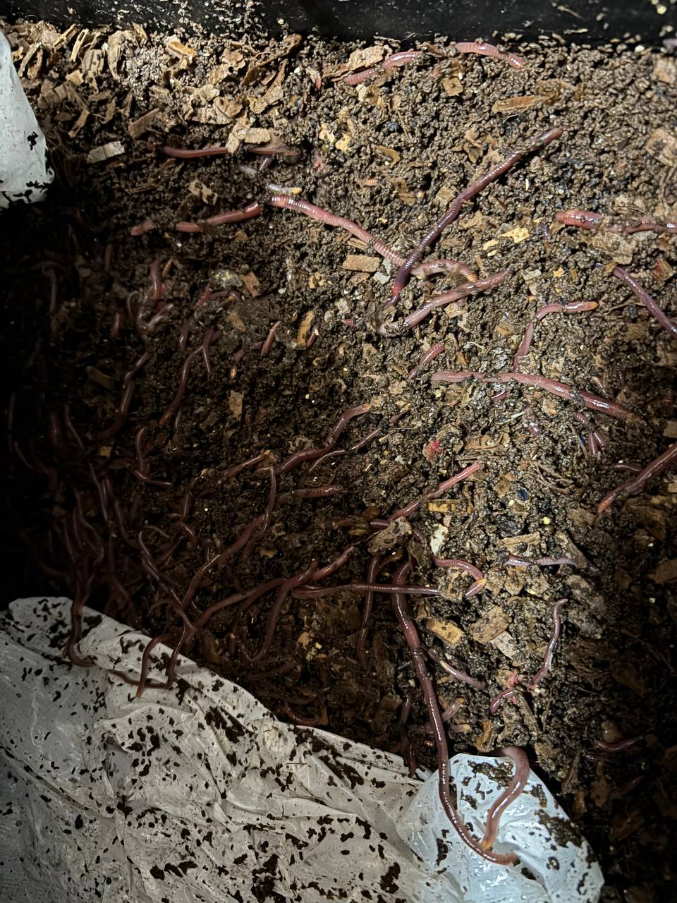 Available site photo 4: bin-detail-2.jpg