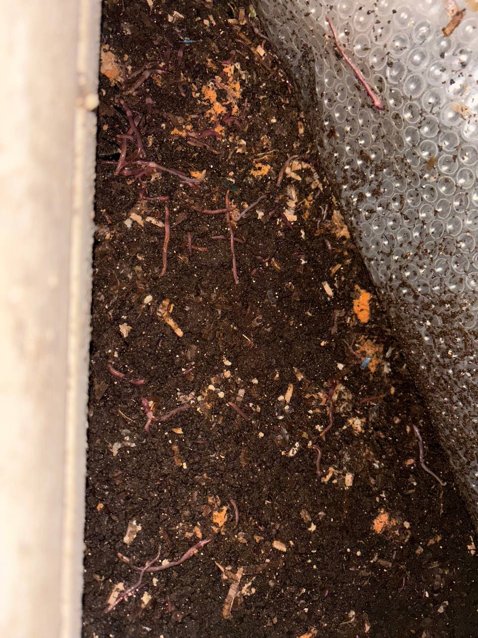 Available site photo 5: bin-detail-3.jpg