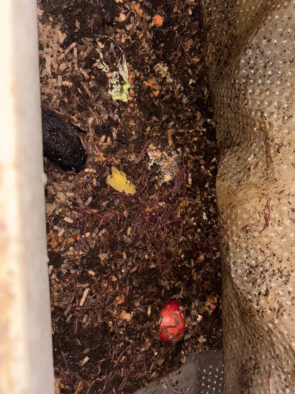 Available site photo 6: bin-feed-1.jpg