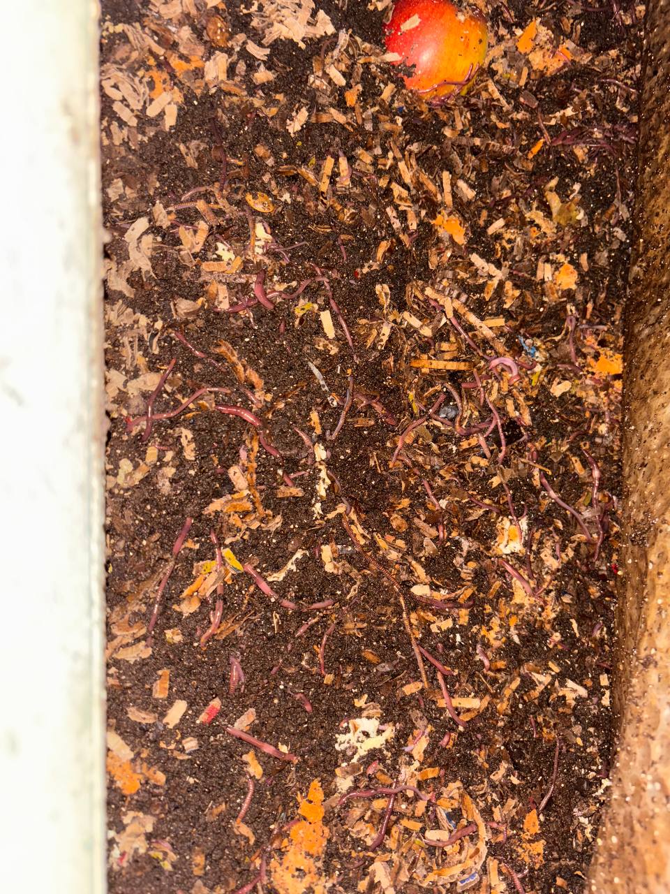 Available site photo 7: bin-feed-2.jpg