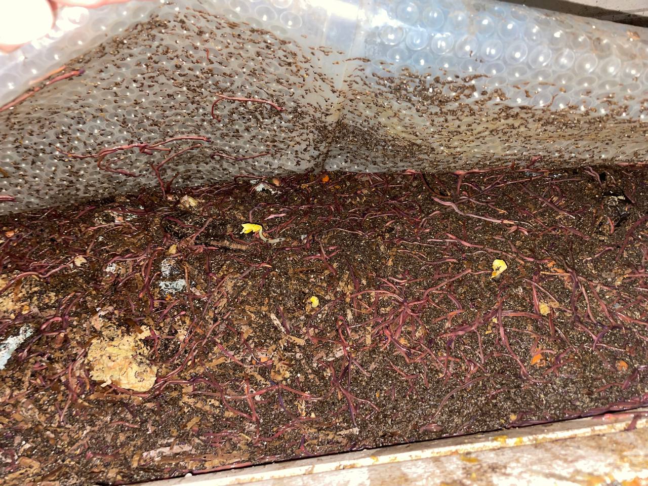 Available site photo 9: bin-surface-wide.jpg