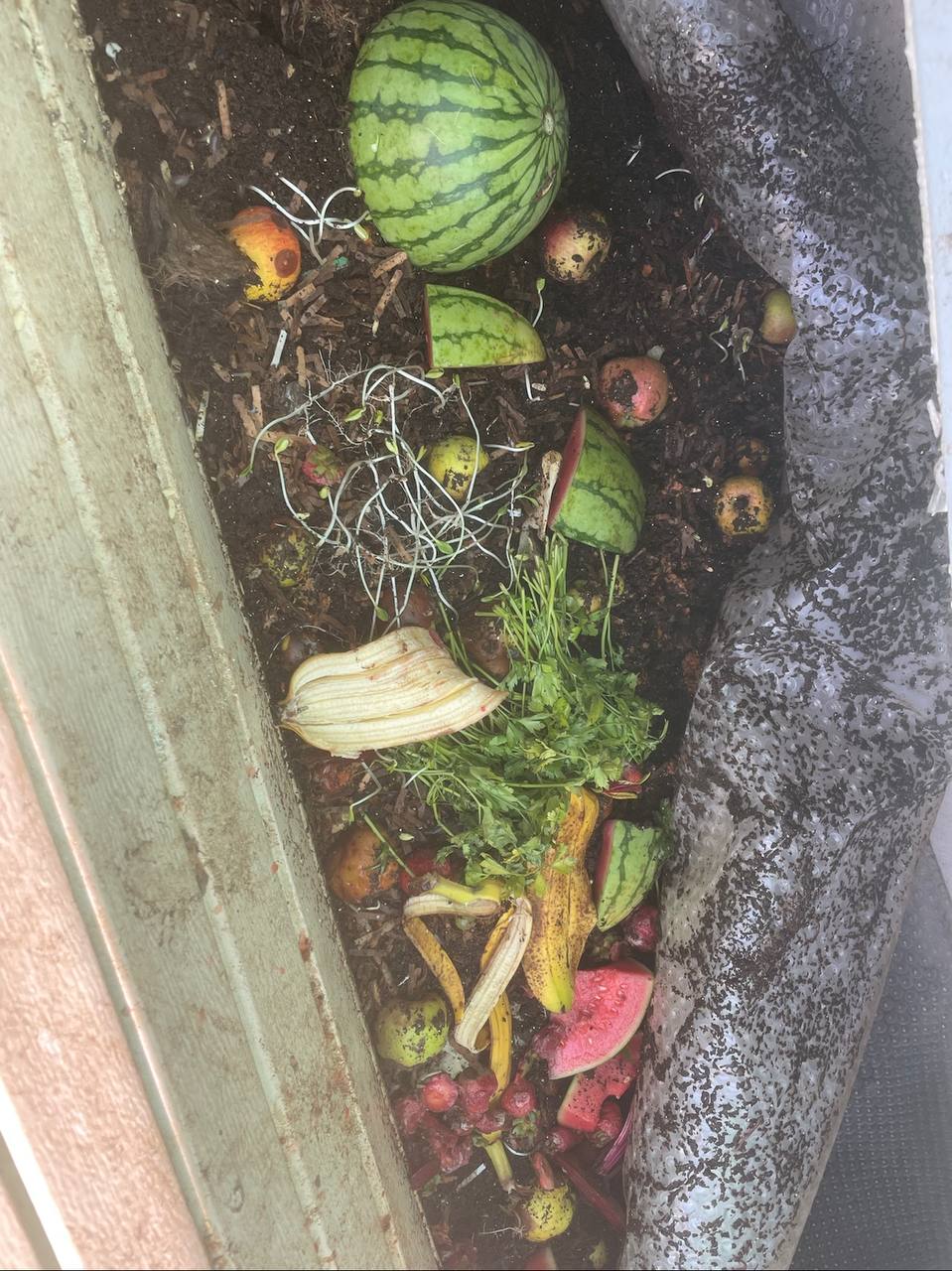 Available site photo 17: fruit-scraps-mixed.jpg