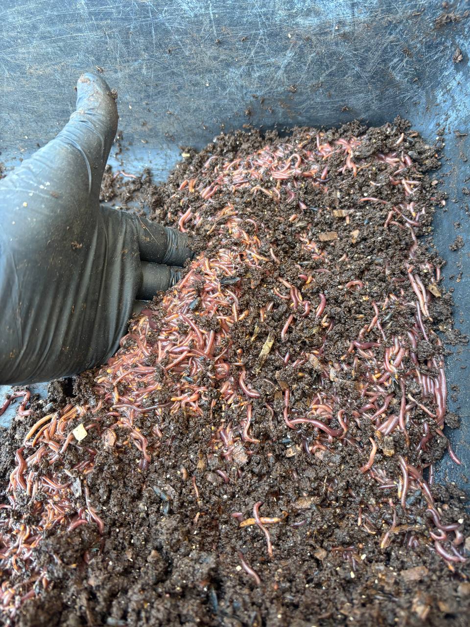 Available site photo 26: harvest-hand.jpg